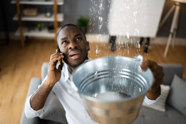 Best Water damage restoration specialists  in Hudson, CO