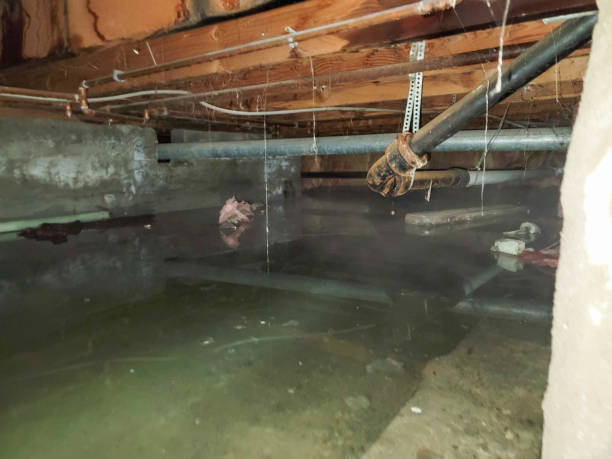 Best Residential water damage restoration  in Hudson, CO