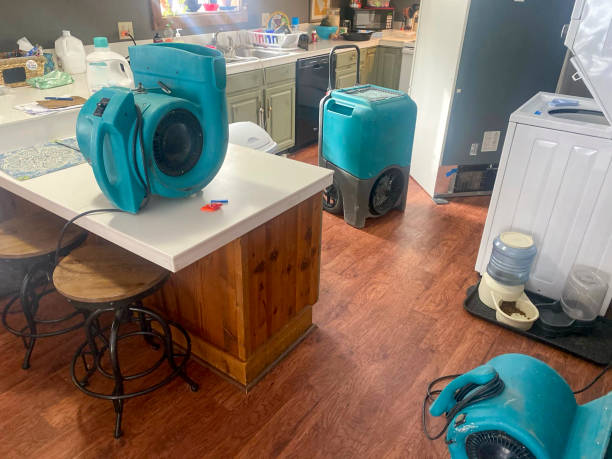 Best 24-hour water damage restoration  in Hudson, CO