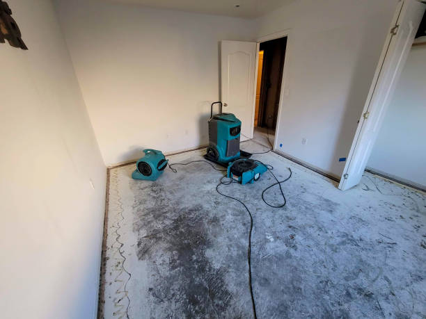 Hudson, CO Water damage restoration Pros
