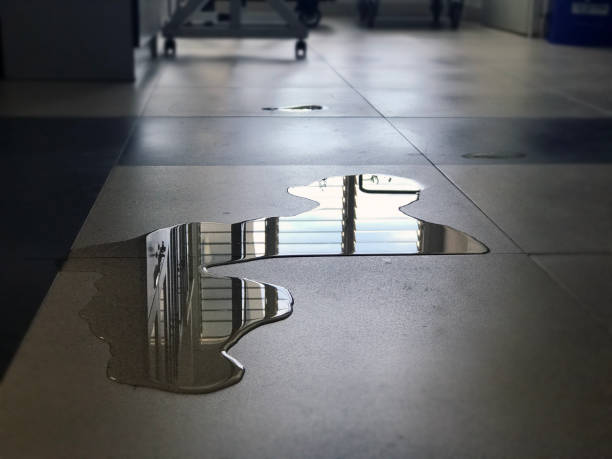 Best Water damage contractors near me  in Hudson, CO