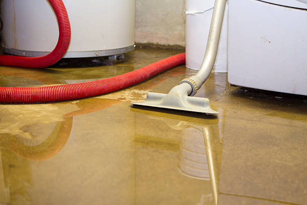 Best Professional water damage repair  in Hudson, CO